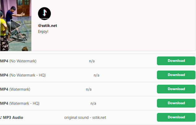 TikTok Video Downloader for PC - Download TikTok Videos in MP4 or MP3