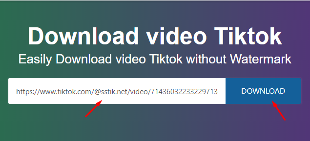 Video Downloader for Tiktok with No Watermark